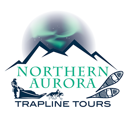 Northern Aurora Trapline Tours