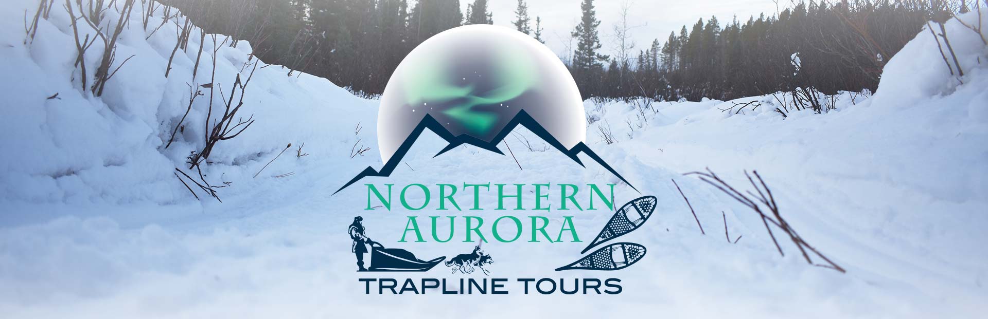 Northern Aurora Trap Line Tours Downloads